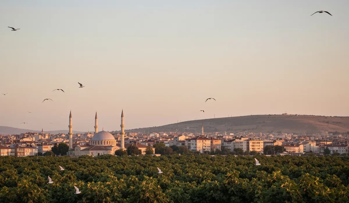 Aydın