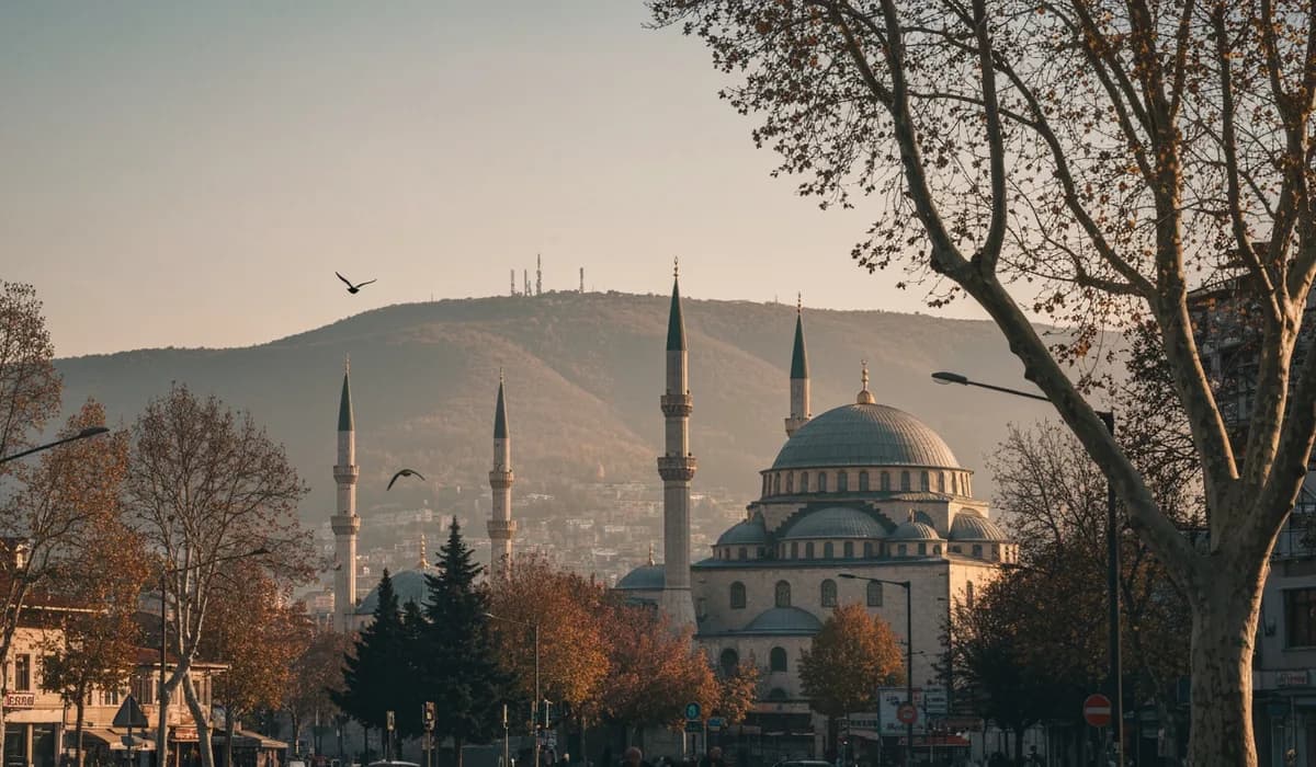Bursa