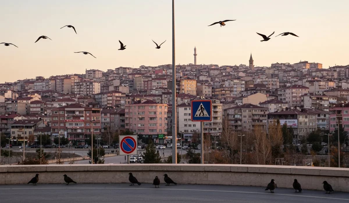 Şırnak