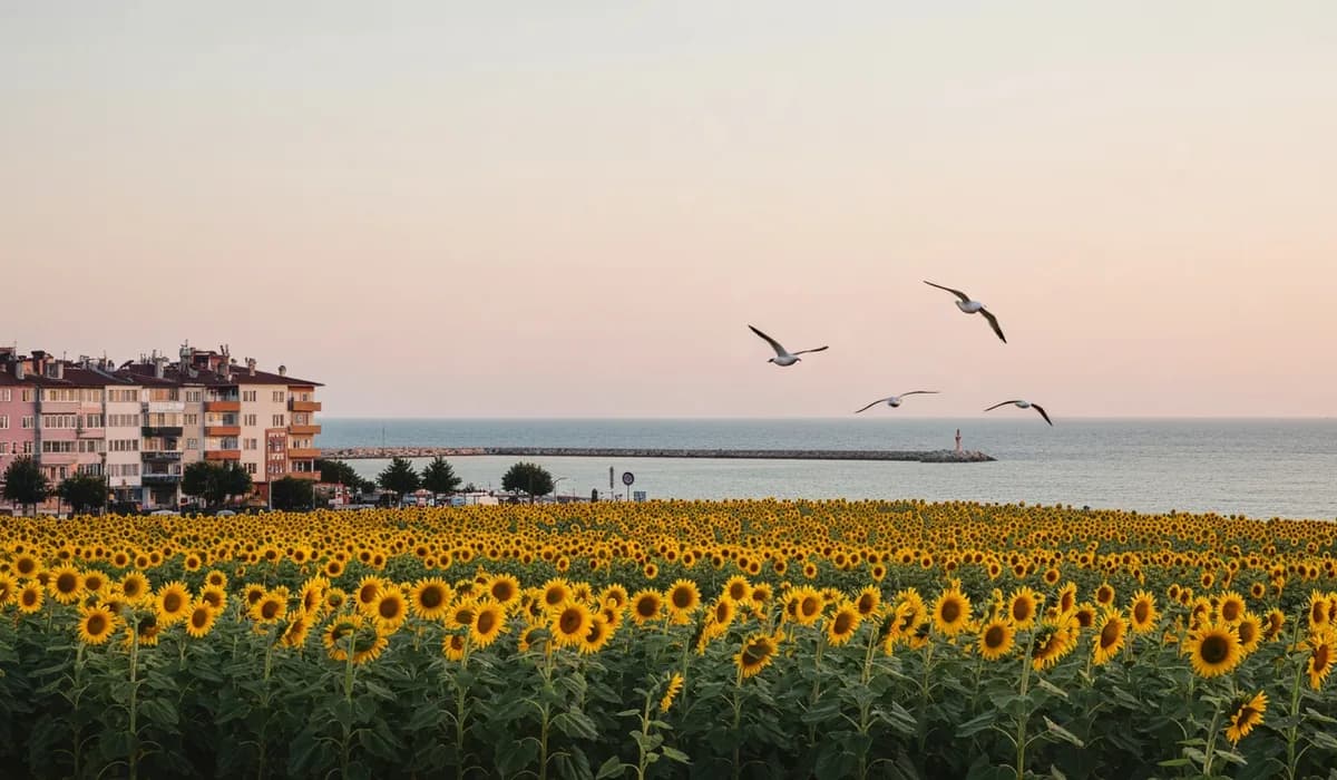 Tekirdağ